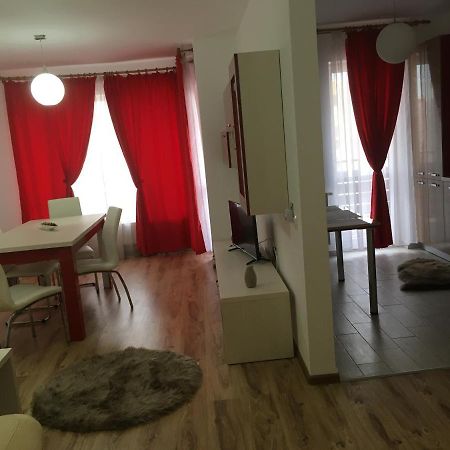 Apartament Avangarden Ema Rosu ブラショフ エクステリア 写真