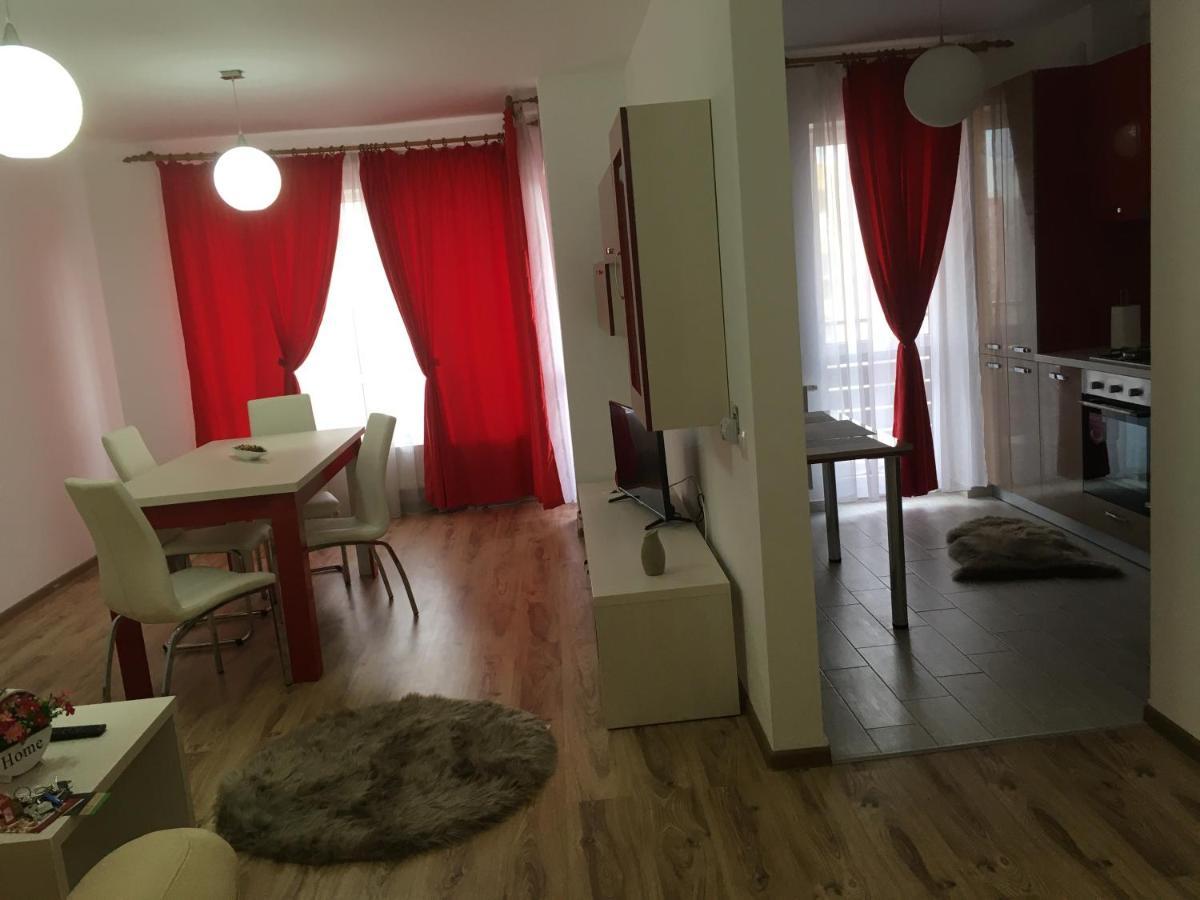 Apartament Avangarden Ema Rosu ブラショフ エクステリア 写真