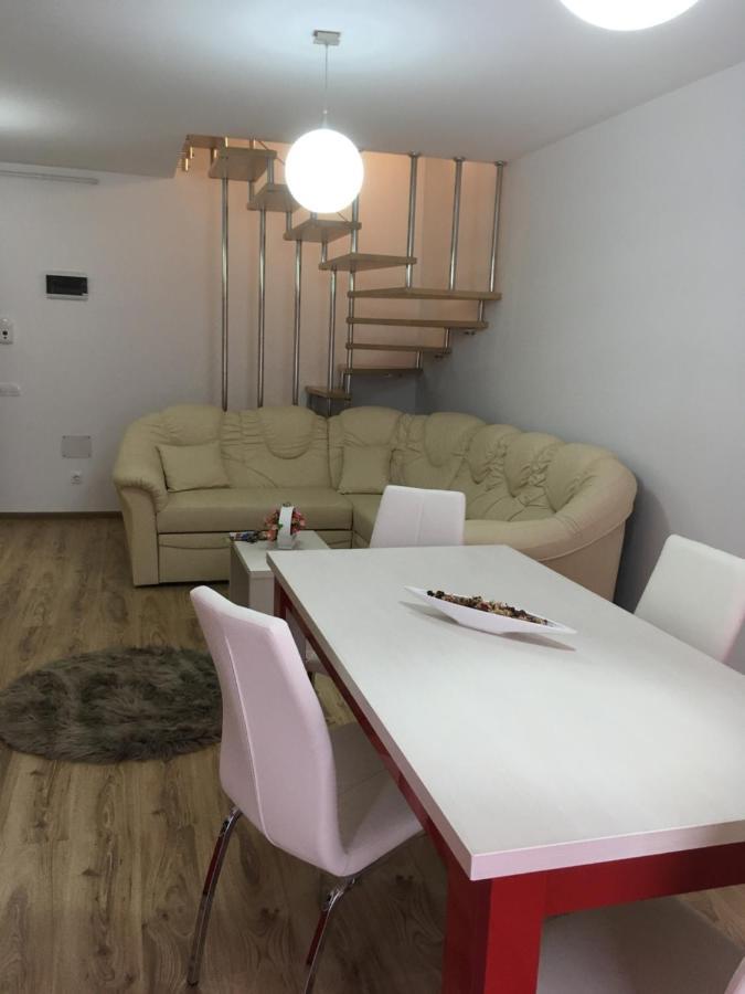 Apartament Avangarden Ema Rosu ブラショフ エクステリア 写真